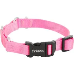 Frisco Solid Nylon Martingale Dog Collar With Buckle -Frisco 139177 PT3. AC SS1800 V1620068872