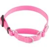 Frisco Solid Nylon Slip-On Martingale Dog Collar -Frisco 139181 Main. AC SS1800 V1582829392
