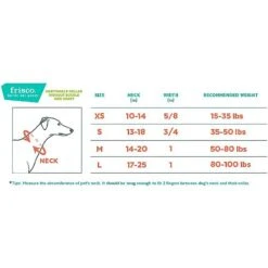 Frisco Solid Nylon Slip-On Martingale Dog Collar -Frisco 139181 PT1. AC SS1800 V1620068233