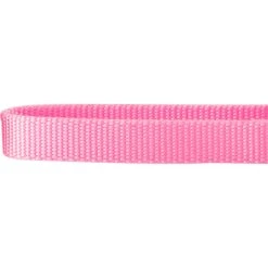 Frisco Solid Nylon Slip-On Martingale Dog Collar -Frisco 139181 PT3. AC SS1800 V1620069443