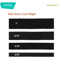 Frisco Solid Nylon Slip-On Martingale Dog Collar -Frisco 139181 PT6. AC SS1800 V1628869272