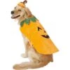 Frisco Pumpkin Dog & Cat Costume -Frisco 144446 MAIN. AC SS1800 V1540495184