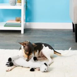 Frisco Raccoon Skinny Plush Squeaky Dog Toy 6 Frisco Raccoon Skinny Plush Squeaky Dog Toy -Frisco 147045 PT1. AC SS1800 V1539205362