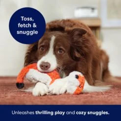 Frisco Fox Skinny Plush Squeaky Dog Toy 12 Frisco Fox Skinny Plush Squeaky Dog Toy -Frisco 147049 PT5. AC SS1800 V1691776638