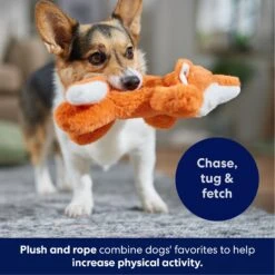 Frisco Fox Plush With Inside Rope Squeaky Dog Toy 12 Frisco Fox Plush With Inside Rope Squeaky Dog Toy -Frisco 147065 PT4. AC SS1800 V1695671059