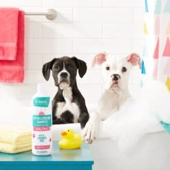 Frisco Hypoallergenic Puppy & Kitten Shampoo, Unscented 8 Frisco Hypoallergenic Puppy & Kitten Shampoo, Unscented -Frisco 152571 PT2. AC SS1800 V1551302781
