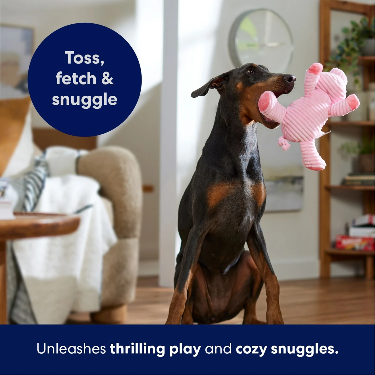 Frisco Corduroy Plush Squeaking Pig Dog Toy 7 Frisco Corduroy Plush Squeaking Pig Dog Toy - Image 5