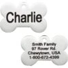 Frisco Personalized Dog ID Tag, Bone 2 Frisco Personalized Dog ID Tag, Bone -Frisco 152994 MAIN. AC SS1800 V1619702559