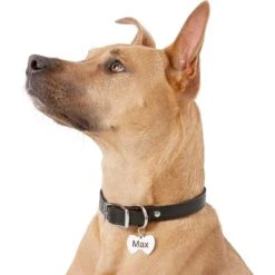 Frisco Stainless Steel Personalized Dog & Cat ID Tag, Bow Tie -Frisco 152997 PT5. AC SS1800 V1540562104
