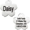 Frisco Stainless Steel Personalized Dog & Cat ID Tag, Flower 2 Frisco Stainless Steel Personalized Dog & Cat ID Tag, Flower -Frisco 153002 MAIN. AC SS1800 V1540562246