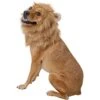 Frisco Lion Mane Dog & Cat Costume -Frisco 158732 MAIN. AC SS1800 V1625873829