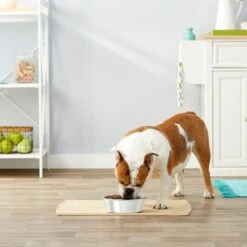 Frisco Stainless Steel Dog & Cat Bowl 8 Frisco Stainless Steel Dog & Cat Bowl -Frisco 159867 PT3. AC SS1800 V1570543097