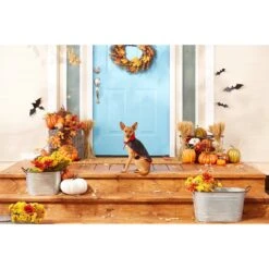 Frisco Vampire Cape Dog & Cat Costume -Frisco 160793 PT3. AC SS1800 V1567176564