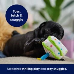 Frisco Birthday Cake Slice Plush Squeaky Dog Toy 12 Frisco Birthday Cake Slice Plush Squeaky Dog Toy -Frisco 162906 PT4. AC SS1800 V1695671059