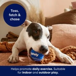 Frisco Chewy Fetch Squeaky Tennis Ball Dog Toy 11 Frisco Chewy Fetch Squeaky Tennis Ball Dog Toy -Frisco 164314 PT3. AC SS1800 V1691783970