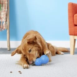 Frisco Snowman Rubber Treat Dispenser Dog Toy 13 Frisco Snowman Rubber Treat Dispenser Dog Toy -Frisco 164769 PT4. AC SS1800 V1563808954