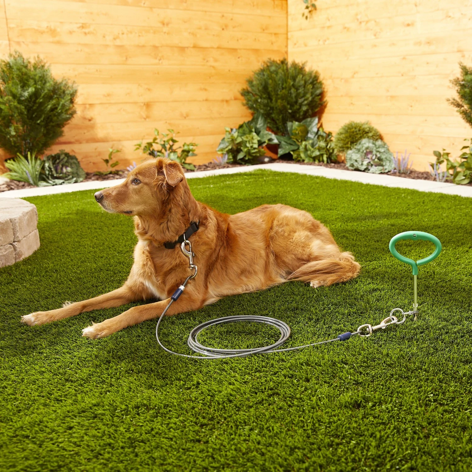 Frisco Tie Out Cable 4 Frisco Tie Out Cable - Image 2