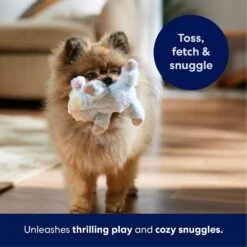 Frisco Lamb Plush Squeaky Dog Toy 12 Frisco Lamb Plush Squeaky Dog Toy -Frisco 174686 PT4. AC SS1800 V1695659156
