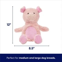 Frisco Pig Textured Plush Squeaky Dog Toy -Frisco 174695 PT1. AC SS1800 V1695670747