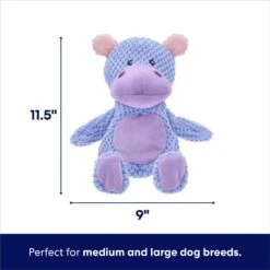 Frisco Hippo Textured Plush Squeaky Dog Toy -Frisco 174697 PT1. AC SS1800 V1695659154