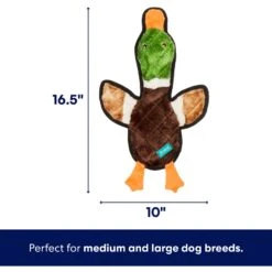 Frisco Mallard Stuffing-Free Flat Plush Squeaky Dog Toy -Frisco 174731 PT1. AC SS1800 V1686580079