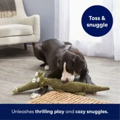 Frisco Triceratops Wagazoo Plush Squeaky Dog Toy 12 Frisco Triceratops Wagazoo Plush Squeaky Dog Toy -Frisco 174747 PT4. AC SS1800 V1695748419