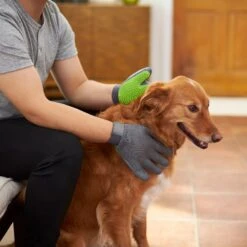 Frisco Dog & Cat Adjustable Grooming Gloves 14 Frisco Dog & Cat Adjustable Grooming Gloves -Frisco 206847 PT5. AC SS1800 V1610763673