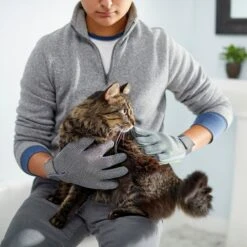 Frisco Dog & Cat Adjustable Grooming Gloves 15 Frisco Dog & Cat Adjustable Grooming Gloves -Frisco 206847 PT6. AC SS1800 V1610768190