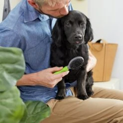 Frisco Cat & Dog Combo Brush, Mini 9 Frisco Cat & Dog Combo Brush, Mini -Frisco 206857 PT4. AC SS1800 V1680186386