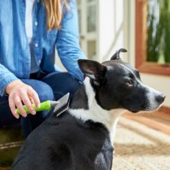 Frisco Soft Slicker Dog Brush, One Size -Frisco 206869 PT4. AC SS1800 V1680186388