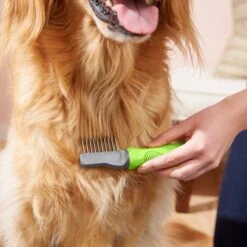 Frisco Dematting Dog Rake, One Size -Frisco 206873 PT6. AC SS1800 V1680186104