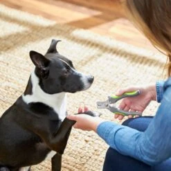 Frisco Dog Nail Trimmer 8 Frisco Dog Nail Trimmer -Frisco 206877 PT4. AC SS1800 V1680186157