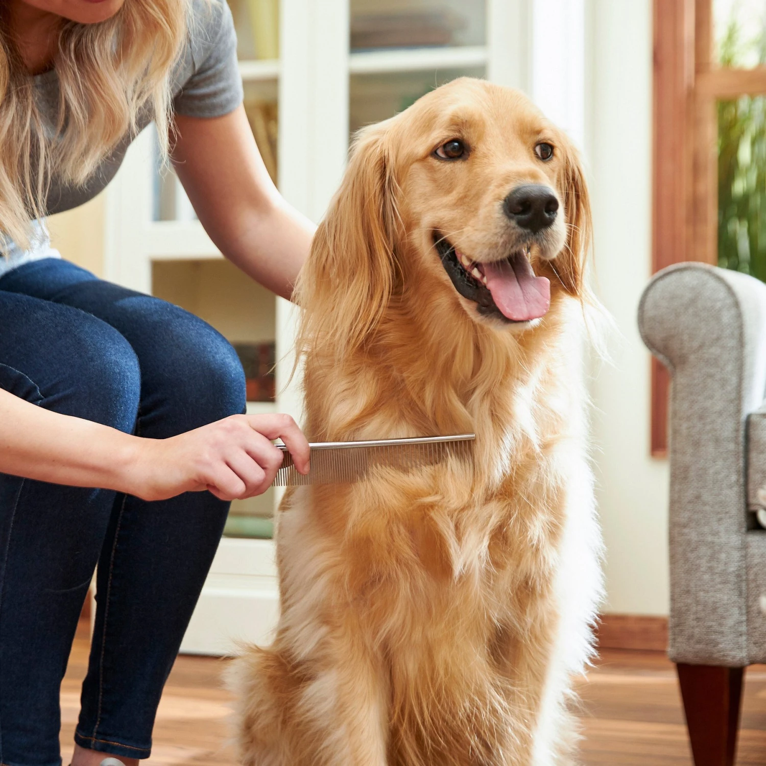 Frisco Metal Dog & Cat Comb 5 Frisco Metal Dog & Cat Comb - Image 3