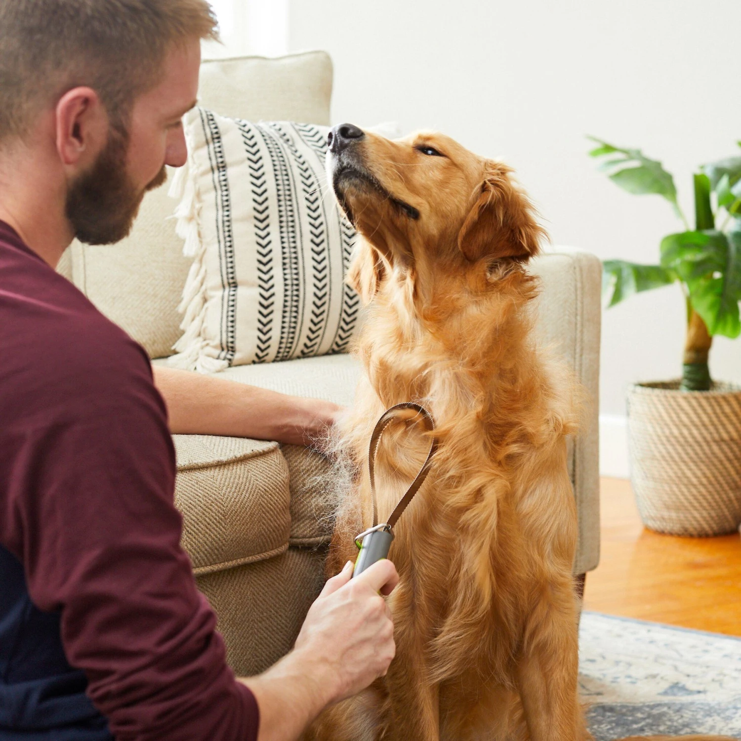 Frisco Shedding Blade Dog Brush, One Size 7 Frisco Shedding Blade Dog Brush, One Size - Image 5