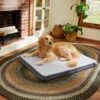 Frisco Cooling Orthopedic Pillow Dog Bed W/Removable Cover 2 Frisco Cooling Orthopedic Pillow Dog Bed W/Removable Cover -Frisco 210223 MAIN. AC SS1800 V1590067616