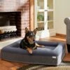 Frisco Orthopedic Rectangular Bolster Cat & Dog Bed W/Removable Cover -Frisco 210226 MAIN. AC SS1800 V1590067652