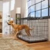 Frisco Heavy Duty Fold & Carry Double Door Collapsible Wire Dog Crate & Mat Kit -Frisco 212618 MAIN. AC SS1800 V1667227320
