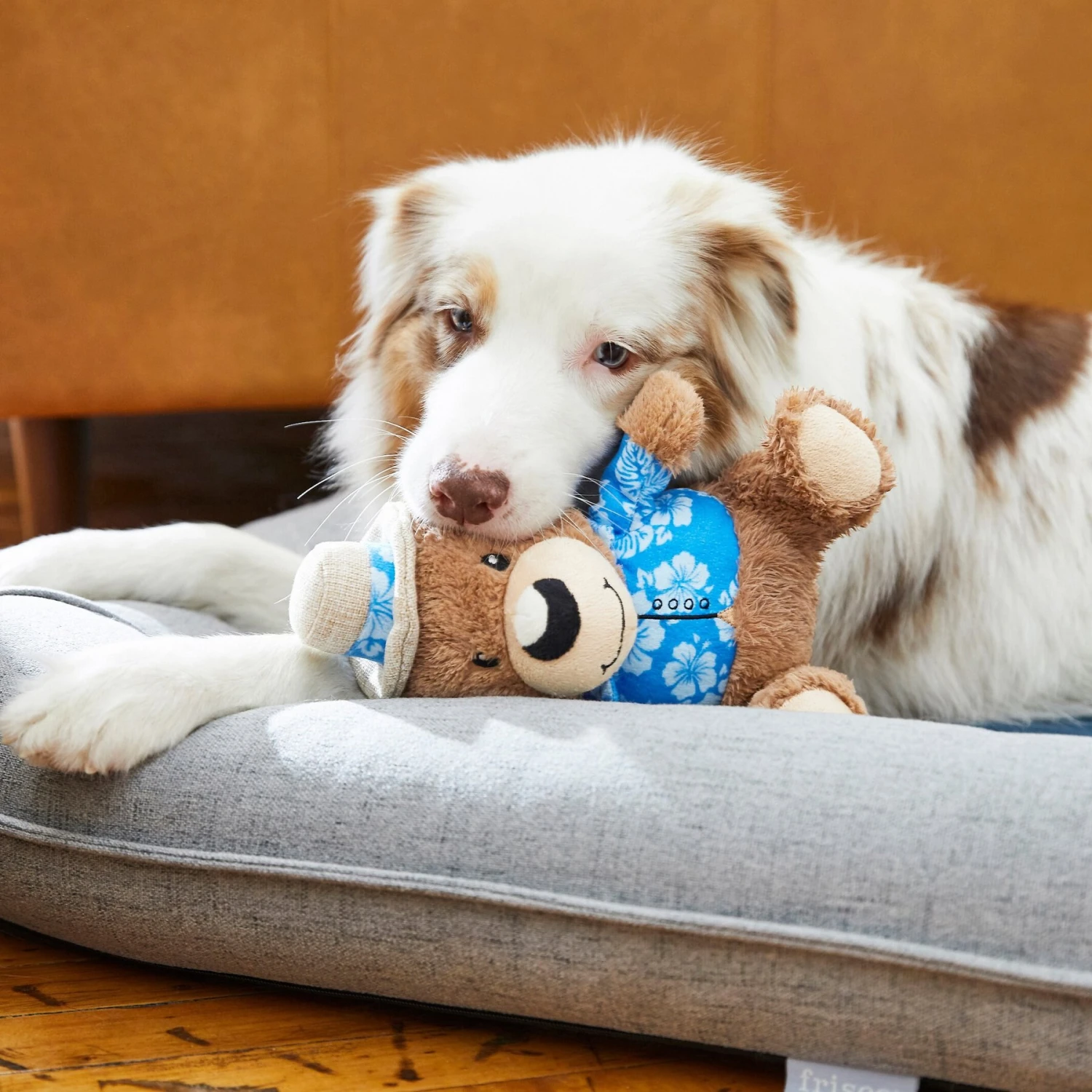 Frisco Summer Fun Plush Bear Squeaky Dog Toy 4 Frisco Summer Fun Plush Bear Squeaky Dog Toy - Image 2