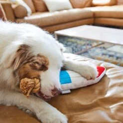 Frisco Summer Fun Plush & Rope Popsicle Dog Toy 7 Frisco Summer Fun Plush & Rope Popsicle Dog Toy -Frisco 214703 PT6. AC SS1800 V1597596505