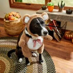 Frisco Front Walking Teddy Bear Dog & Cat Costume -Frisco 215507 PT8. AC SS1800 V1689628224