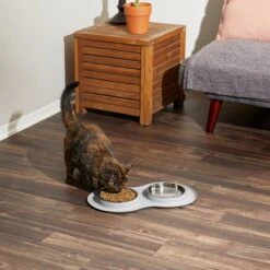 Frisco Double Stainless Steel Pet Bowl With Silicone Mat 16 Frisco Double Stainless Steel Pet Bowl With Silicone Mat -Frisco 215986 PT6. AC SS1800 V1605657710