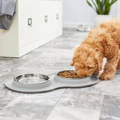 Frisco Double Stainless Steel Pet Bowl With Silicone Mat 17 Frisco Double Stainless Steel Pet Bowl With Silicone Mat -Frisco 215986 PT7. AC SS1800 V1605660717