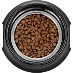 Frisco Stainless Steel Bowl With Elevated Stand -Frisco 216020 PT4. AC SS1800 V1591020427