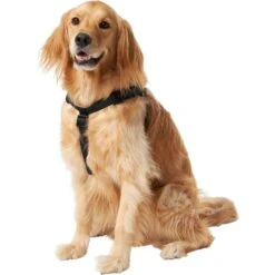 Frisco Nylon Step In Back Clip Dog Harness -Frisco 220519 PT2. AC SS1800 V1605591714
