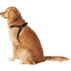 Frisco Nylon Step In Back Clip Dog Harness -Frisco 220519 PT3. AC SS1800 V1605593555