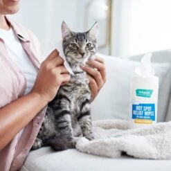 Frisco Hot Spot Relief Wipes 8 Frisco Hot Spot Relief Wipes -Frisco 222163 PT2. AC SS1800 V1602831392