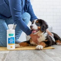 Frisco Shed Reducing Waterless Grooming Wipes For Dogs & Cats, 50 Count 7 Frisco Shed Reducing Waterless Grooming Wipes For Dogs & Cats, 50 Count -Frisco 222173 PT1. AC SS1800 V1602814320