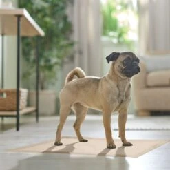 Frisco Large Eco-Conscious Dog Training & Potty Pads 17 Frisco Large Eco-Conscious Dog Training & Potty Pads -Frisco 227438 PT6. AC SS1800 V1674665619