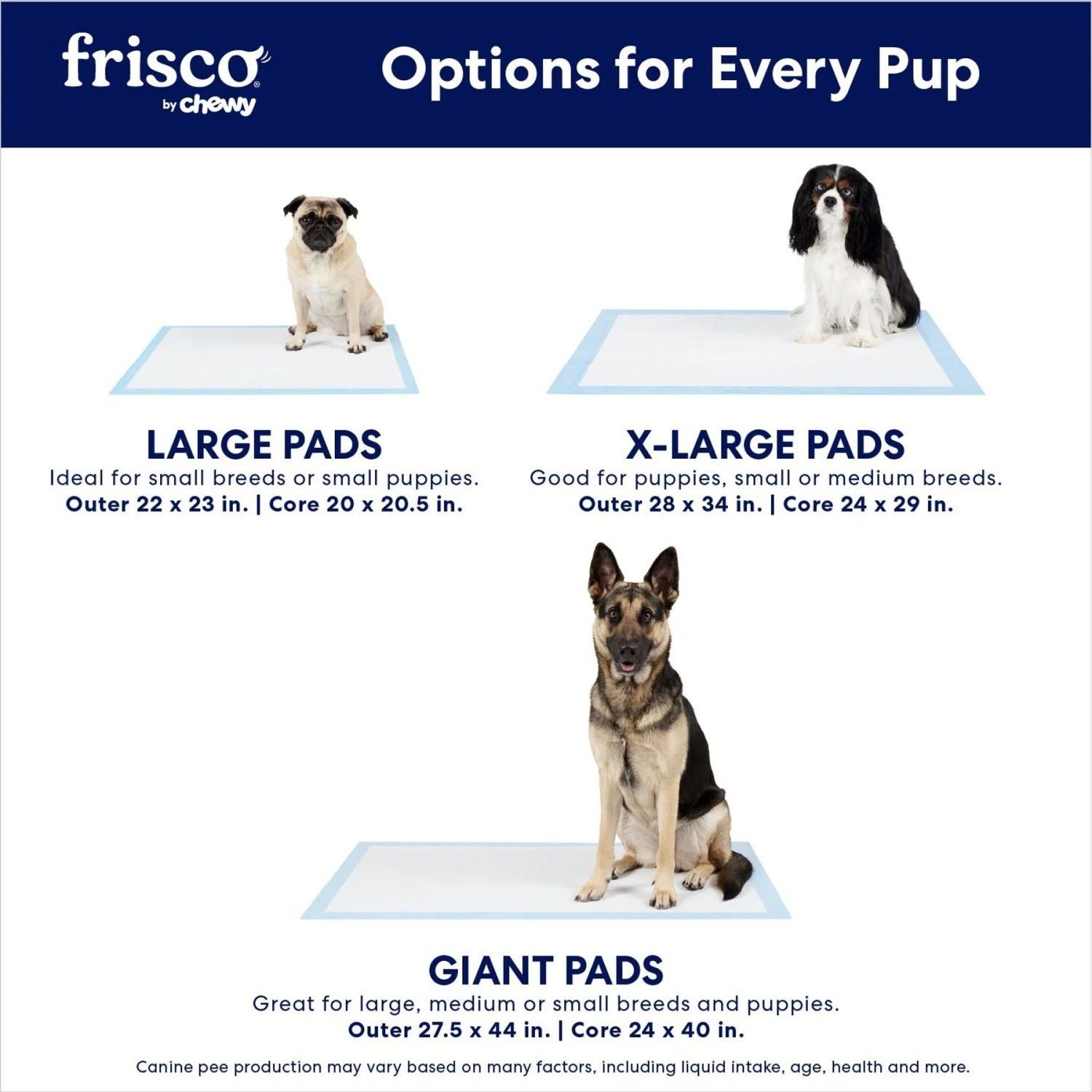 Frisco Premium Extra Large Printed Dog Training & Potty Pads 6 Frisco Premium Extra Large Printed Dog Training & Potty Pads - Image 4