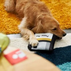 Frisco Retro Floppy Disc Ballistic Nylon Plush Squeaky Dog Toy -Frisco 230304 PT3. AC SS1800 V1602639753